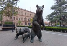 Vandalizan escultura de oso en Paseo Capital; llaman a cuidar espacios públicos