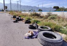 Vuelve a formarse tiradero clandestino de llantas al sur de Saltillo
