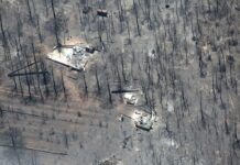 La Pinalosa: a 5 años del incendio que arrasó con miles de hectáreas… y ¡nadie ha sido sancionado!