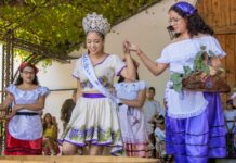 Al menos 15 vendimias habrá en Parras este año