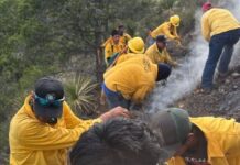 Alerta en la Sierra de Arteaga por incendios forestales