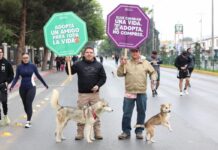 Aprovechan buen clima y asisten a la Ruta Recreativa