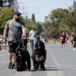 Conviven familias y aficionados en intercambio de estampitas durante la Ruta Recreativa6