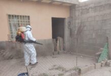 Intensifican acciones de fumigación y control sanitario en distintos sectores de Torreón