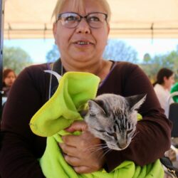 Invitan a jornada de esterilización gratuita para perros y gatos en Ramos Arizpe