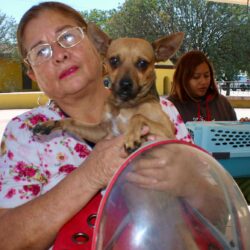 Invitan a jornada de esterilización gratuita para perros y gatos en Ramos Arizpe1