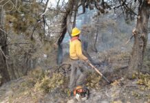 Mantiene abiertas Fiscalía siete investigaciones por incendios forestales en Coahuila