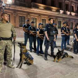 Mantienen operativos coordinados en establecimientos del Centro Histórico1