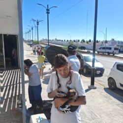 Más de 500 mascotas atendidas en jornadas de salud animal en Ramos Arizpe2