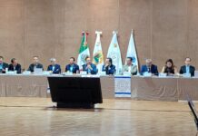 Propicia el robo a transportistas complicidad entre delincuentes y alcaldes de otros municipios del país: Manolo