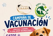 ¿Quieres proteger la salud de tu mascota? Habrá campaña de vacunación para perros y gatos en la UAAAN este viernes