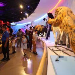 Reúne Museo del Desierto a cientos de familias en la séptima edición de Noche de Museos4