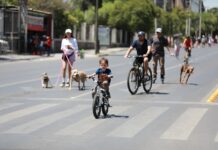 Se activan en la Ruta Recreativa y animan la carrera 21K Coahuila 2026