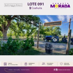 Se suma Coahuila a la iniciativa “Subasta Morada” del Teletón, para recaudar recursos en beneficio de niñas y niños con discapacidad1