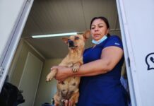 Tendrá Dignidad Animal AC jornada de esterilizaciones este domingo en la Ruta Recreativa