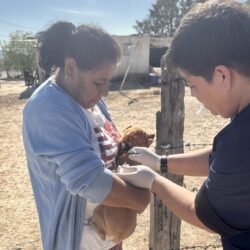 Vacunan y protegen a más de 300 mascotas en ejidos de Ramos Arizpe3