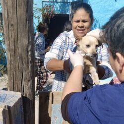 Vacunan y protegen a más de 300 mascotas en ejidos de Ramos Arizpe4