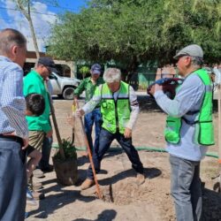 Van más de cinco mil árboles plantados en espacios urbanos de Saltillo en este 2026