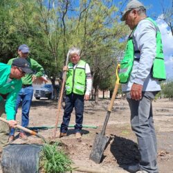 Van más de cinco mil árboles plantados en espacios urbanos de Saltillo en este 20261