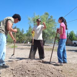 Van más de cinco mil árboles plantados en espacios urbanos de Saltillo en este 20265