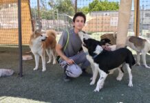 Abren en Saltillo guardería para perrhijos