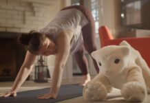 ¿Adiós a las mascotas? Presentan robot que aprende y sigue a sus dueños