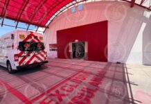 Afirma haber sido atacada por araña “viuda negra” en Saltillo; es hospitalizada por crisis nerviosa