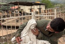 Captan a soldado israelí colocando un cigarrillo en una imagen de la Virgen María en Líbano