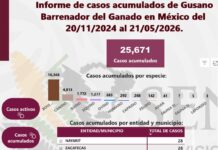 Coahuila suma 20 casos de gusano barrenador: confirma 15 brotes activos