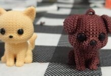 Crea saltillense memoriales 3D para recordar a mascotas tras su partida