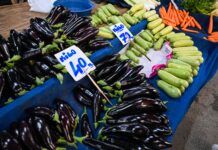 El conflicto en el estrecho de Ormuz amenaza el precio mundial de los alimentos