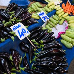 MEDIO ORIENTE-AUMENTO DEL PRECIO DE LOS ALIMENTOS