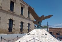 Este domingo, habrá acceso gratuito al Museo de las Aves en Saltillo