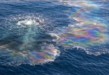 Greenpeace denuncia a Pemex por derrame en el Golfo de México