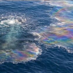 greenpeace