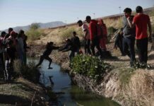 La migración en América Latina se vuelve más compleja e impredecible