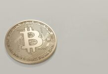 Nadando entre ballenas: ¿Cuáles son los principales tenedores de bitcoin hoy?