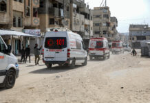 ONU alerta crisis sanitaria en Gaza por plaga de roedores y colapso sanitario