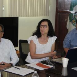presentan