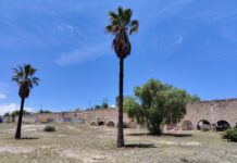 Propondrán vecinos mejoramiento del antiguo acueducto del sur de Saltillo con presupuesto participativo