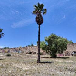propondran vecinosIMG_20260511_122131[1]