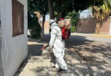 Protegen la salud pública con brigadas de fumigación y colocación de cebos para roedores en colonias de Torreón