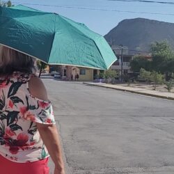 recomienda imss 2