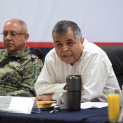 revisan 2