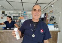 ¿Tu perro tiene una herida sospechosa? Revísala bien y si hay gusanos corre al veterinario