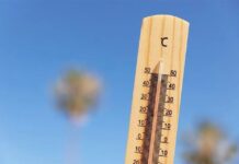 Alerta ONU peligros en Mundial por calor