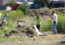 Atiende Gobierno de Saltillo cauce de arroyo en Lomas Verdes