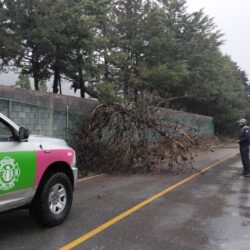 Dejan lluvias daños en viviendas y vehículos varados en encharcamientos en la Región Sureste3