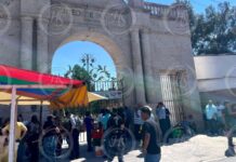 Enjambre de abejas desata emergencia en el Panteón Santiago; 10 personas resultan lesionadas