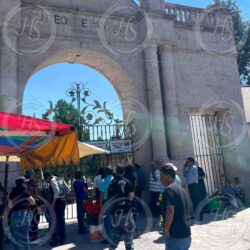 Enjambre de abejas desata emergencia en el Panteón Santiago; 10 personas resultan lesionadas